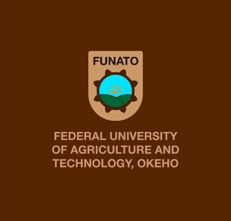 FUNATO Unveils Official Website, Takes Major Step Toward Global Academic Visibility